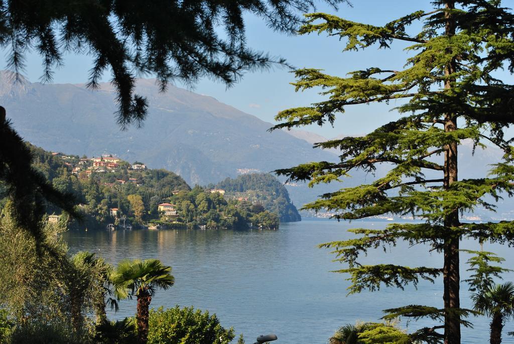 Villa Ortensia Oliveto Lario Rum bild